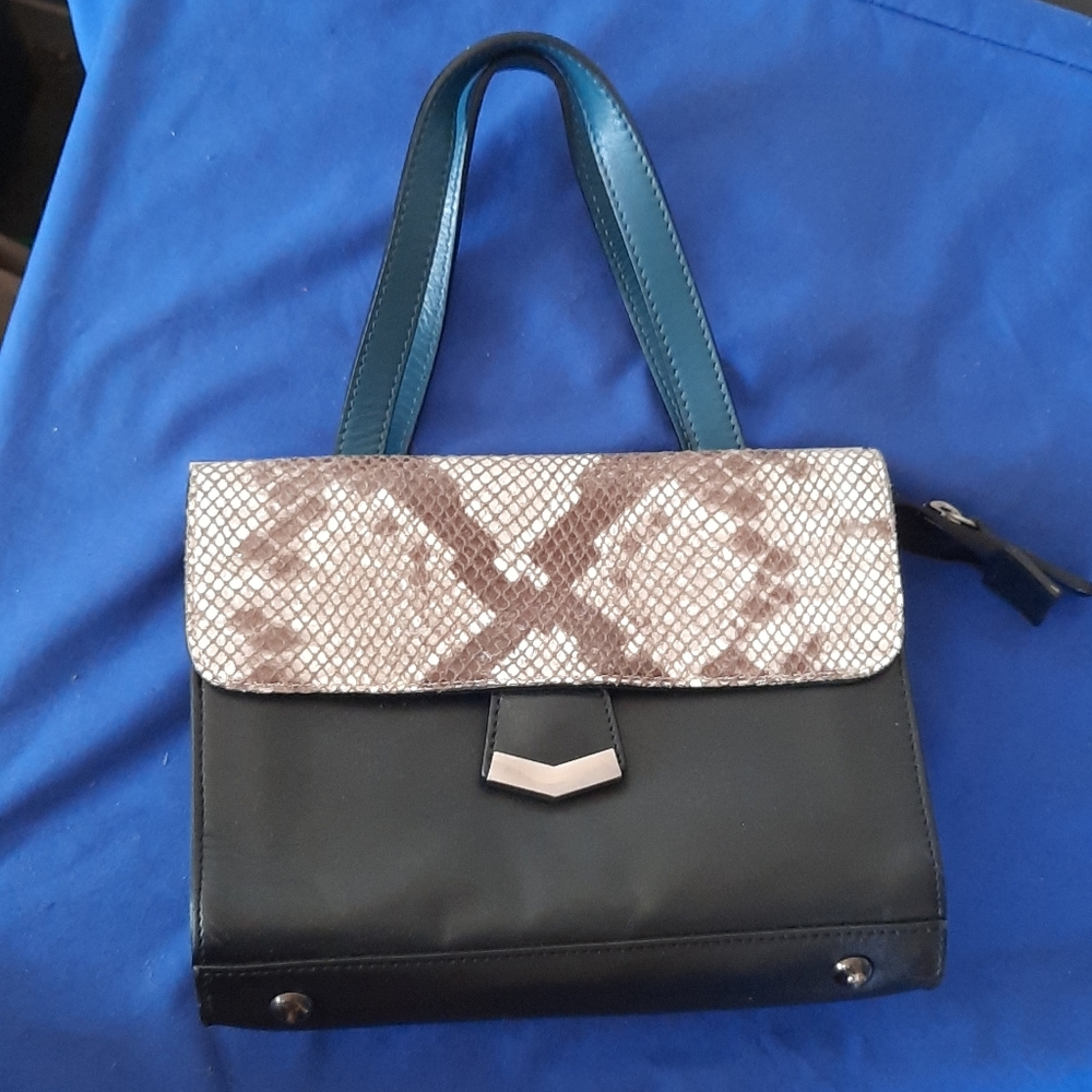 Nwot Vittoria Napoli mini bag